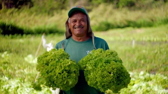 smiling farmer holds two large heads of fresh leafy lettuce in a field