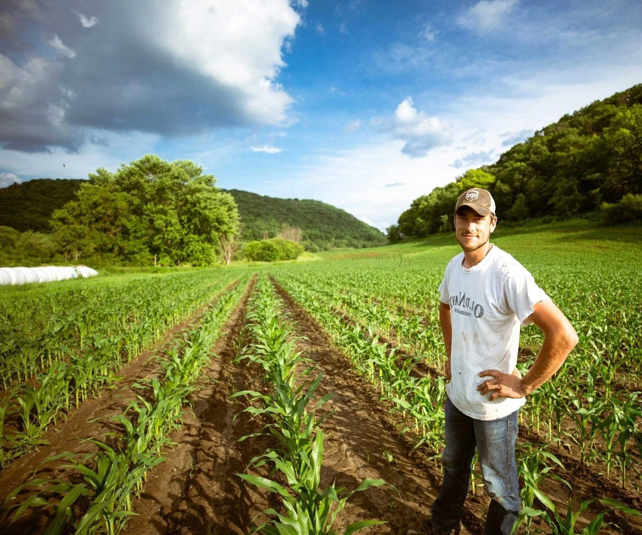 Support for Those Making Big Bets