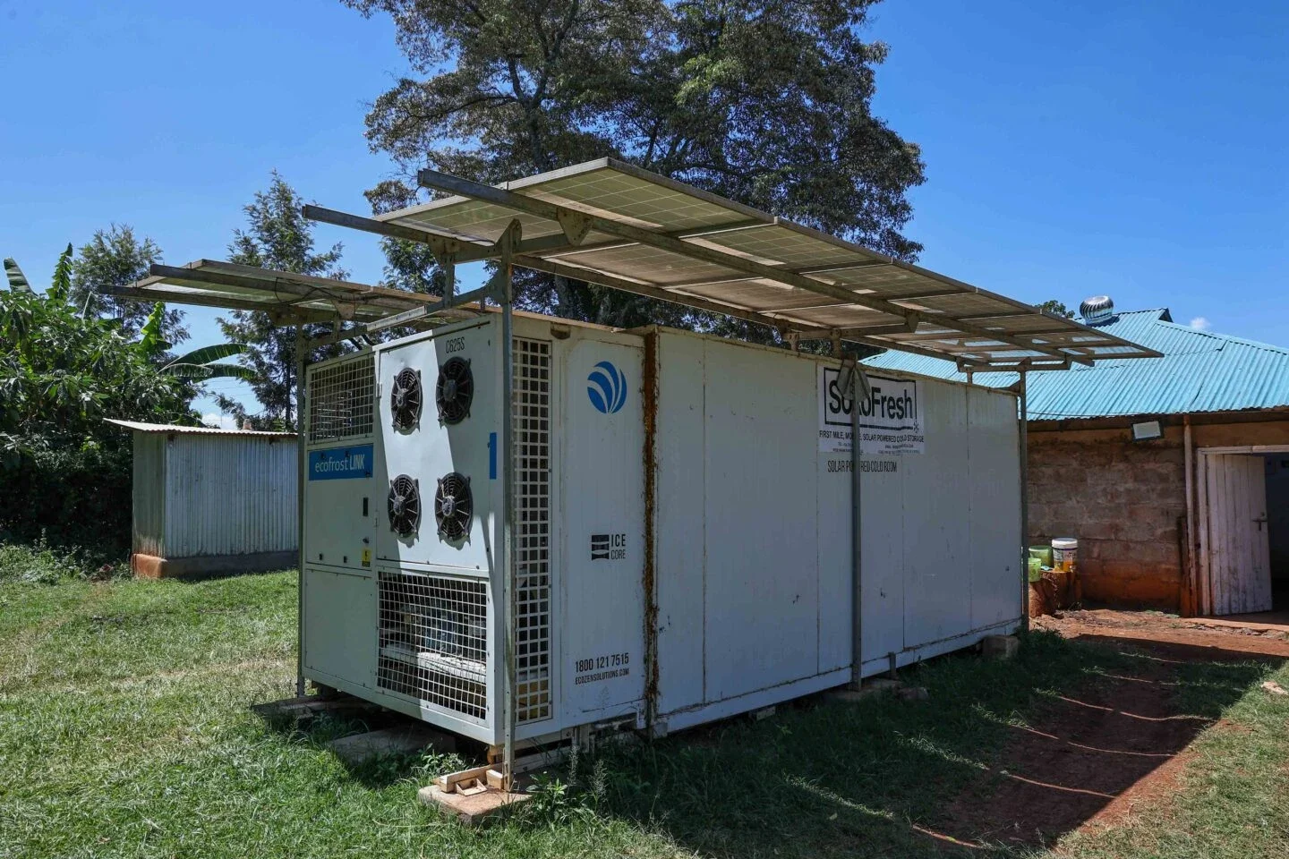 a woman hands fresh produce to another woman at a community food distribution table